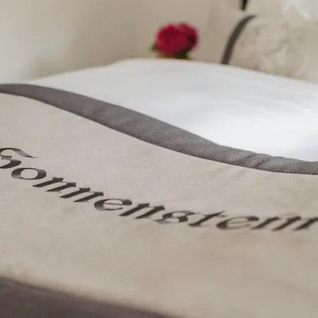 伊迪丝公寓酒店 *