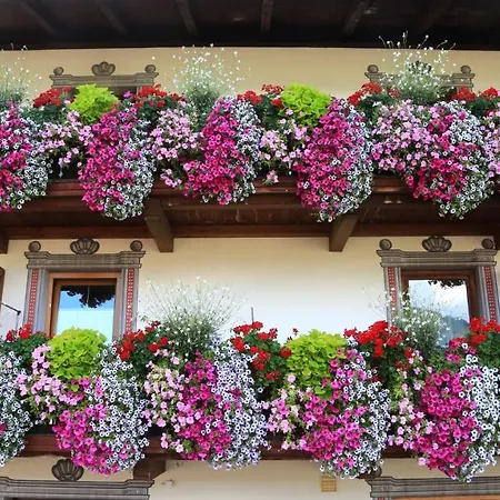 伊迪丝公寓酒店 公寓 *