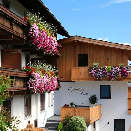 伊迪丝公寓酒店