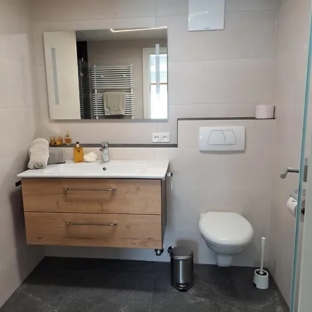 伊迪丝公寓酒店 * 施图拜河谷泰尔夫斯