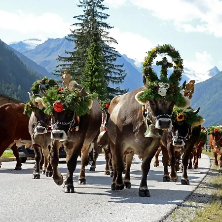 公寓 伊迪丝公寓酒店